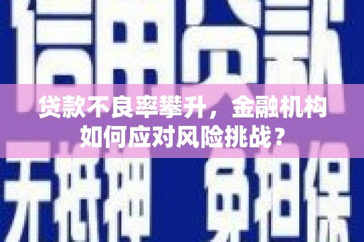 宝塔贷款不良率攀升，金融机构如何应对风险挑战？