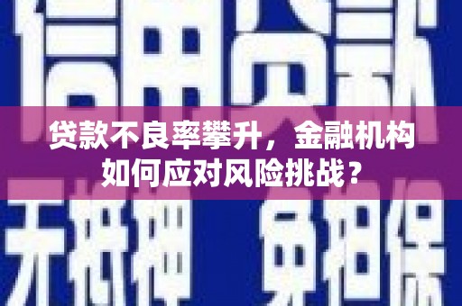 宝塔贷款不良率攀升，金融机构如何应对风险挑战？