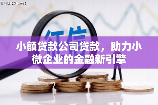 宝塔小额贷款公司贷款，助力小微企业的金融新引擎