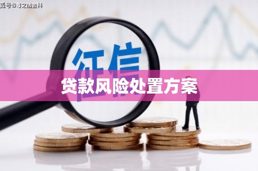 宝塔贷款风险处置方案