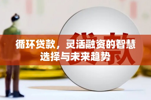 宝塔循环贷款，灵活融资的智慧选择与未来趋势