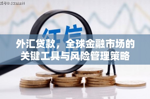 宝塔外汇贷款，全球金融市场的关键工具与风险管理策略