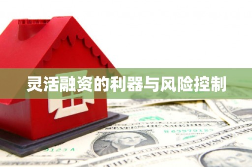 宝塔灵活融资的利器与风险控制