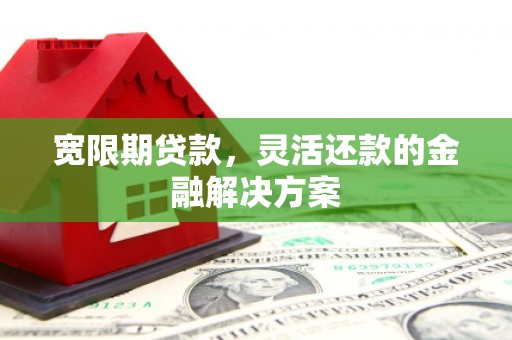 宝塔宽限期贷款，灵活还款的金融解决方案