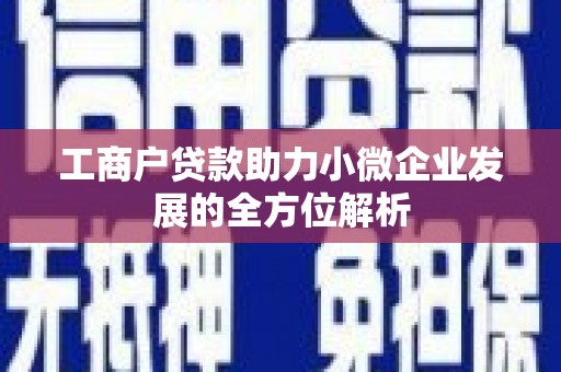 宝塔工商户贷款助力小微企业发展的全方位解析