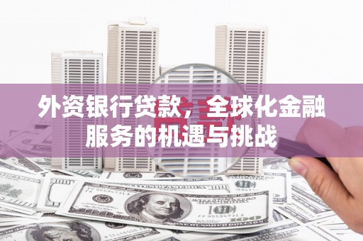 宝塔外资银行贷款，全球化金融服务的机遇与挑战