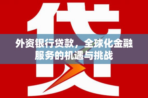 宝塔外资银行贷款，全球化金融服务的机遇与挑战