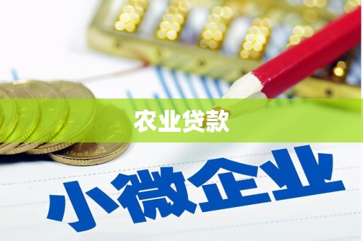 宝塔农业贷款