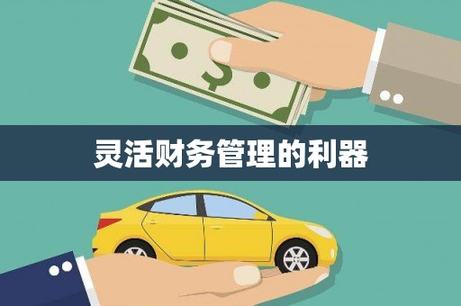 宝塔灵活财务管理的利器