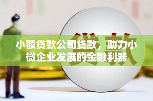 宝塔小额贷款公司贷款，助力小微企业发展的金融利器