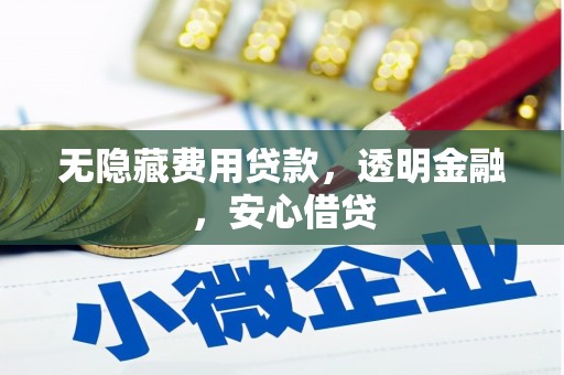 宝塔无隐藏费用贷款，透明金融，安心借贷