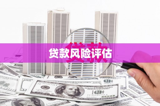 宝塔贷款风险评估