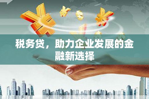宝塔税务贷，助力企业发展的金融新选择