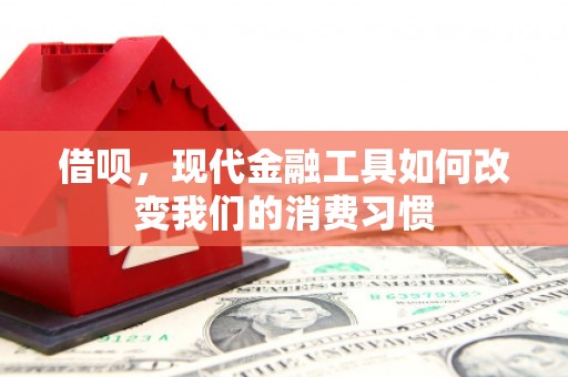 宝塔借呗，现代金融工具如何改变我们的消费习惯