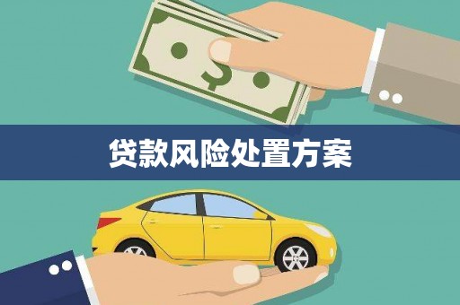 宝塔贷款风险处置方案