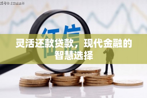 宝塔灵活还款贷款，现代金融的智慧选择