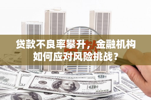 宝塔贷款不良率攀升，金融机构如何应对风险挑战？