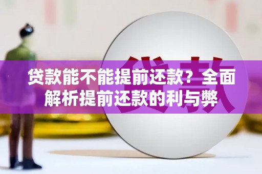 宝塔贷款能不能提前还款？全面解析提前还款的利与弊