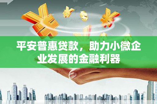 宝塔平安普惠贷款，助力小微企业发展的金融利器