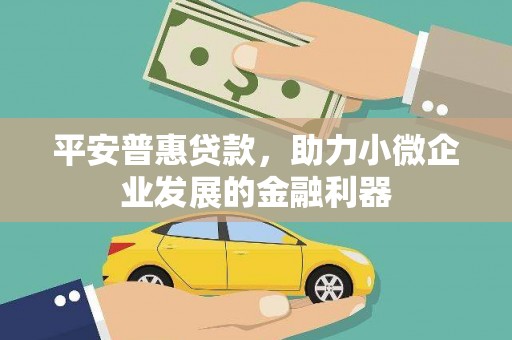 宝塔平安普惠贷款，助力小微企业发展的金融利器