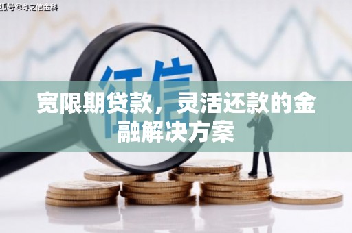 宝塔宽限期贷款，灵活还款的金融解决方案