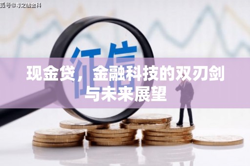 宝塔现金贷，金融科技的双刃剑与未来展望