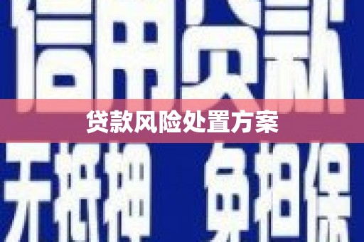宝塔贷款风险处置方案