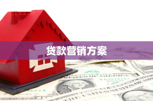 宝塔贷款营销方案