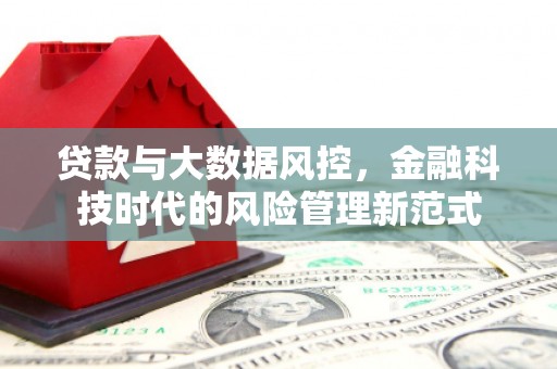 宝塔贷款与大数据风控，金融科技时代的风险管理新范式