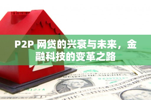 宝塔P2P 网贷的兴衰与未来，金融科技的变革之路