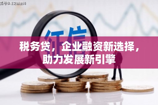 宝塔税务贷，企业融资新选择，助力发展新引擎