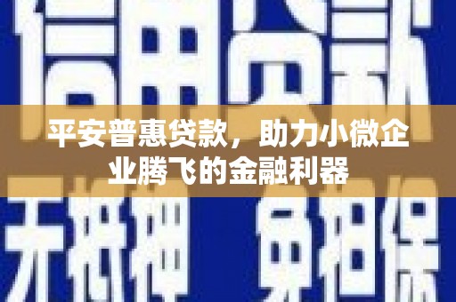 宝塔平安普惠贷款，助力小微企业腾飞的金融利器