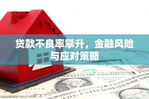宝塔贷款不良率攀升，金融风险与应对策略