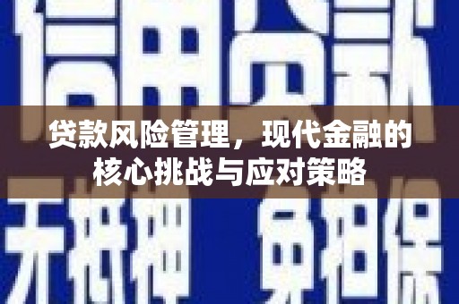 宝塔贷款风险管理，现代金融的核心挑战与应对策略