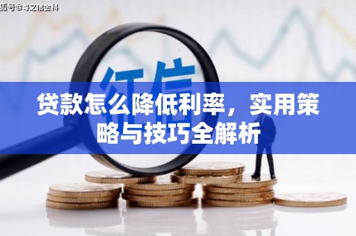 宝塔贷款怎么降低利率，实用策略与技巧全解析