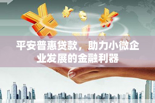 宝塔平安普惠贷款，助力小微企业发展的金融利器
