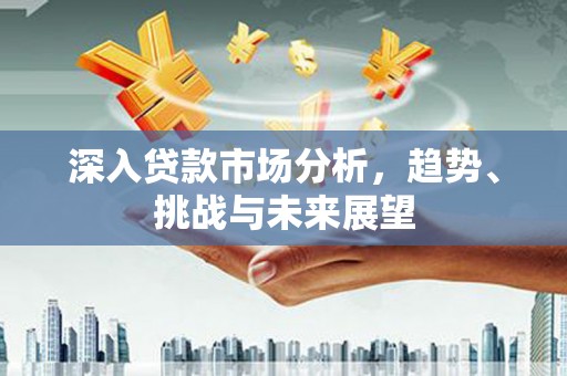 宝塔深入贷款市场分析，趋势、挑战与未来展望