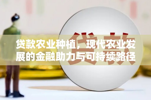 宝塔贷款农业种植，现代农业发展的金融助力与可持续路径