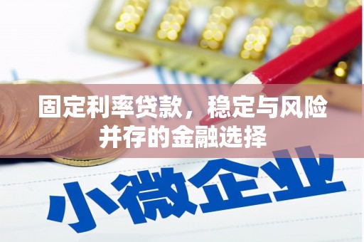 宝塔固定利率贷款，稳定与风险并存的金融选择