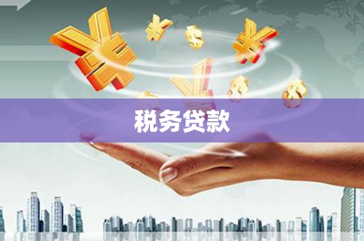 宝塔税务贷款