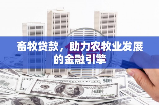 宝塔畜牧贷款，助力农牧业发展的金融引擎