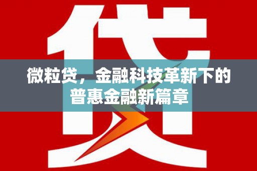 宝塔微粒贷，金融科技革新下的普惠金融新篇章