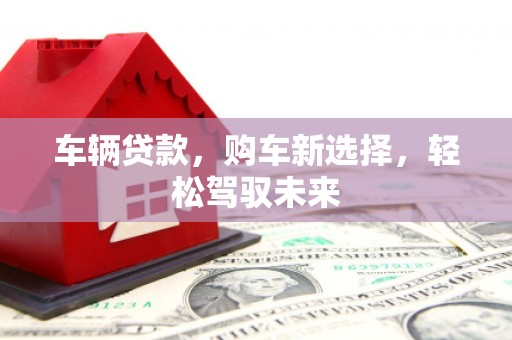 宝塔车辆贷款，购车新选择，轻松驾驭未来