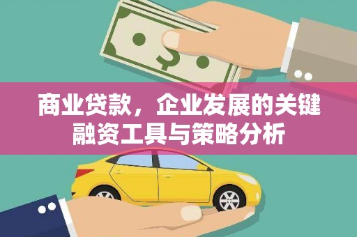 宝塔商业贷款，企业发展的关键融资工具与策略分析