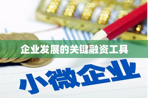 宝塔企业发展的关键融资工具