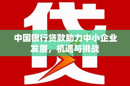 宝塔中国银行贷款助力中小企业发展，机遇与挑战