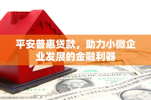 宝塔平安普惠贷款，助力小微企业发展的金融利器