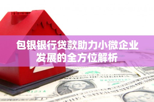 宝塔包银银行贷款助力小微企业发展的全方位解析