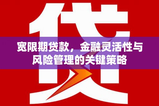 宝塔宽限期贷款，金融灵活性与风险管理的关键策略
