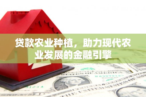 宝塔贷款农业种植，助力现代农业发展的金融引擎